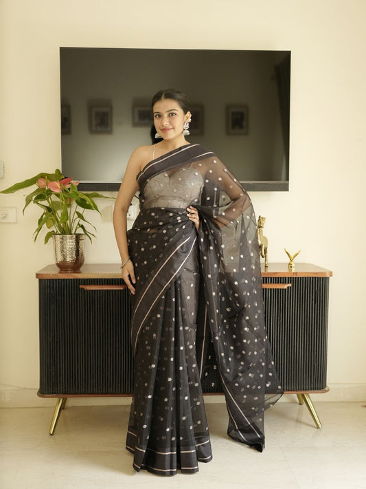 Black-Gold Banarasi Silk Saree