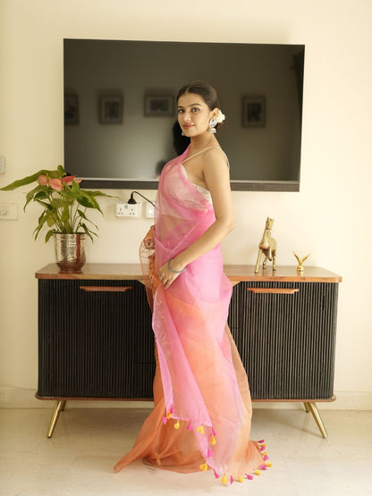 Orange-Pink Ombre Organza Saree With Hand Embroidery
