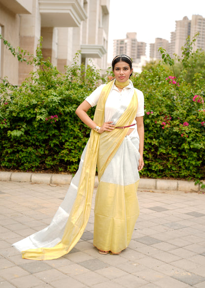 Ethereal Gleam – Dual Tone Gold & Silver Saree