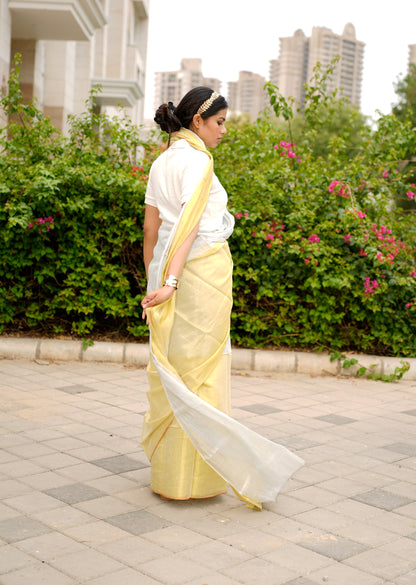 Ethereal Gleam – Dual Tone Gold & Silver Saree