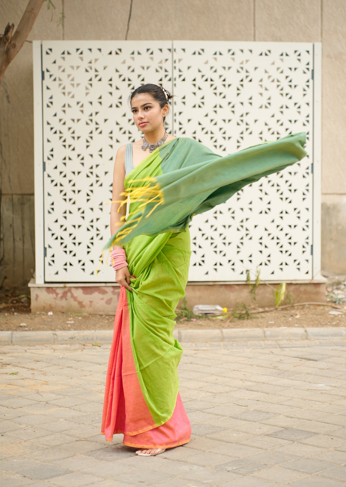 Pastel Harmony Handwoven Cotton Saree