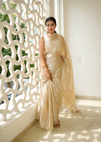 Champagne Glow Tissue Silk Saree