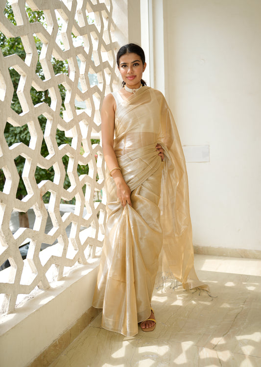 Champagne Glow Tissue Silk Saree