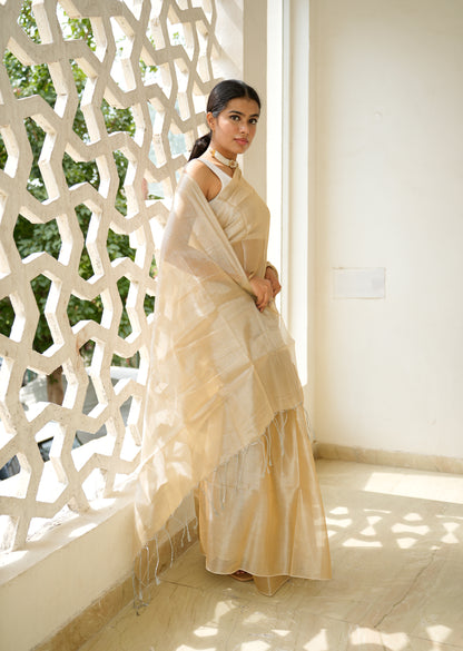 Champagne Glow Tissue Silk Saree