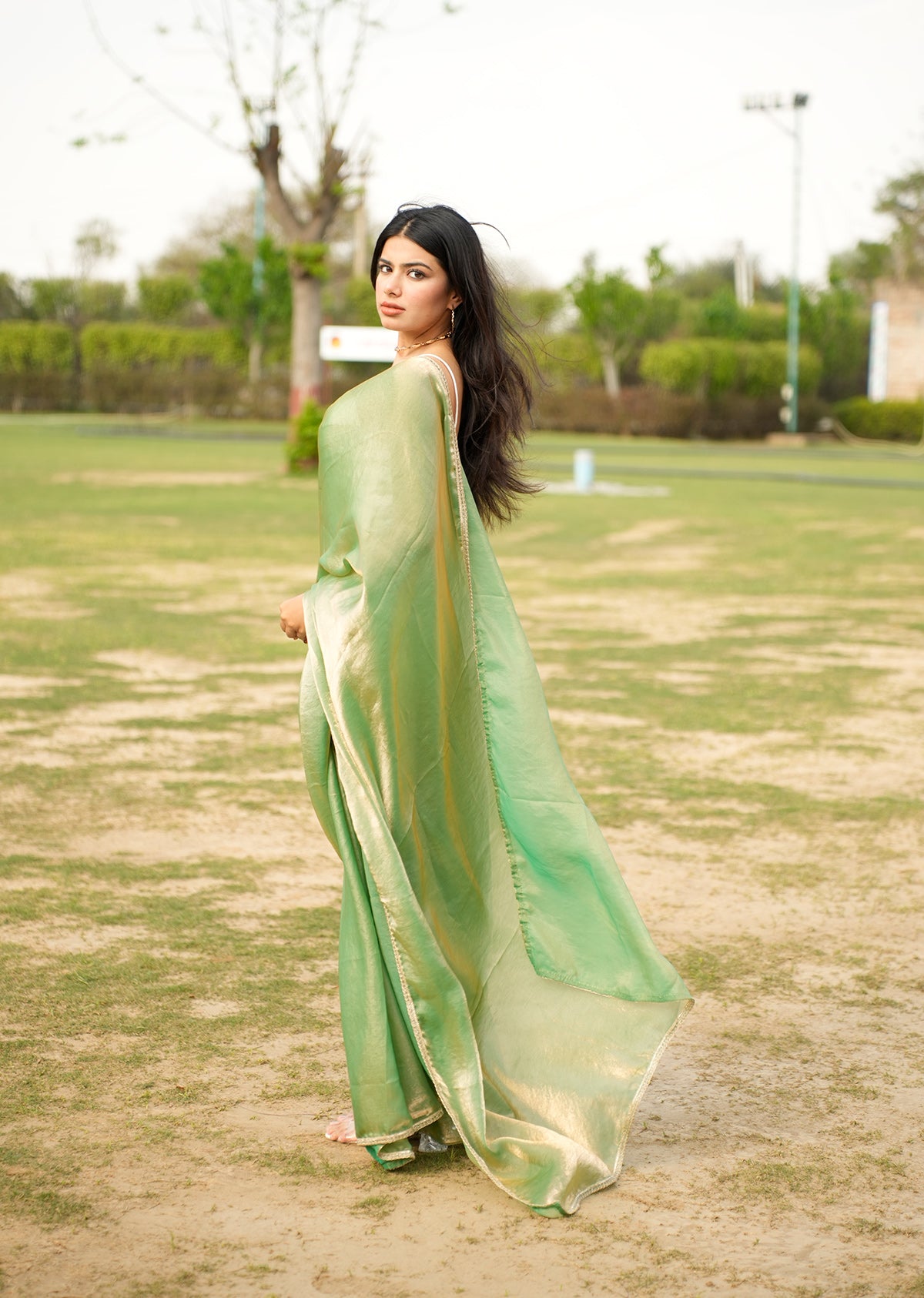 Elegant Green & Gold Dual-Tone Saree