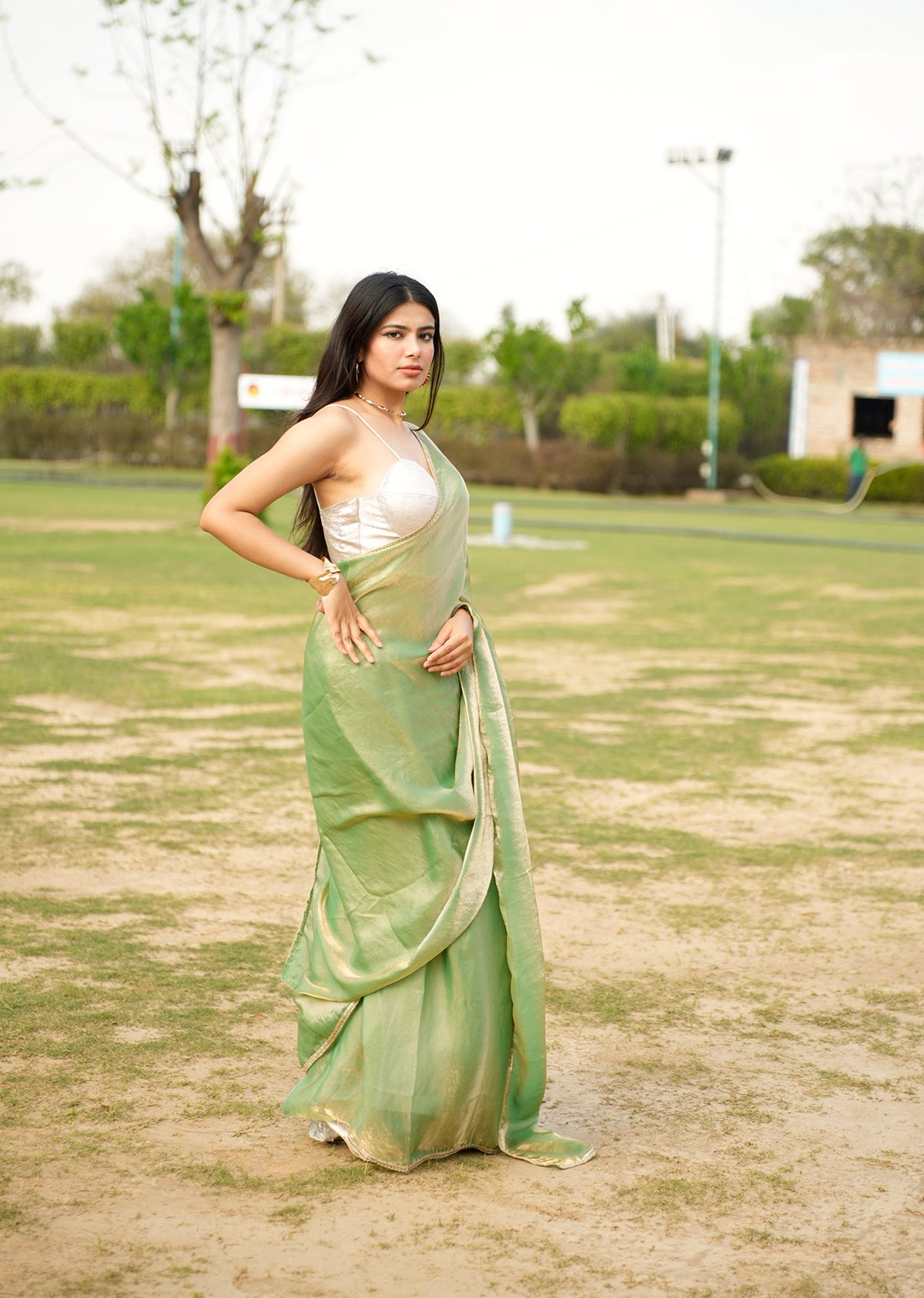 Elegant Green & Gold Dual-Tone Saree