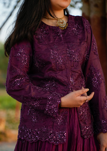 Wine Red Chanderi Lehenga & Choli for Grand Occasions